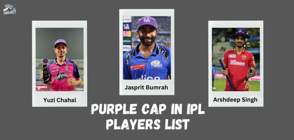 IPL Purple Cap Winners 2025